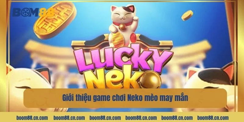 Neko mèo may mắn là bộ môn cược slot có lượt người chơi tham gia đông đảo.