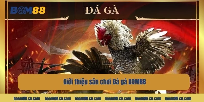 BOM88 được cấp phép hoạt động hợp pháp từ tổ chức PAGCOR.