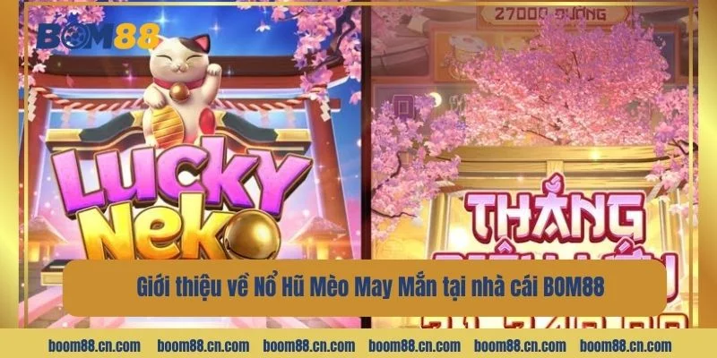 Vài điểm giới thiệu về Nổ Hũ Mèo May Mắn tại nhà cái BOM88.