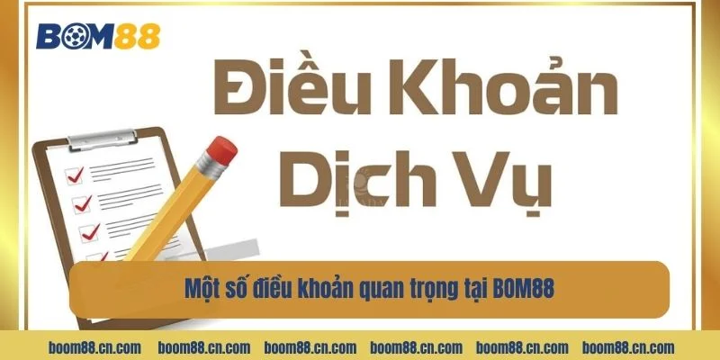 Điểm qua một số điều khoản quan trọng người chơi cần nhớ.