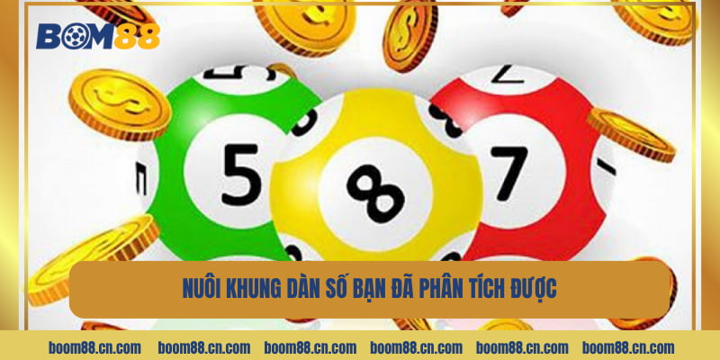 Nuôi khung dàn số mà bạn đã phân tích được.