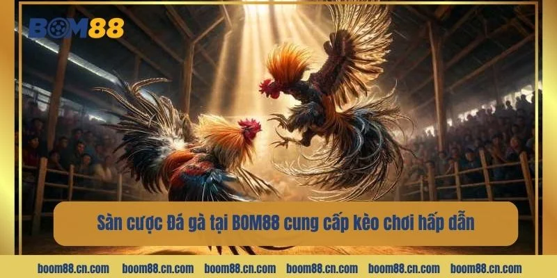 Sàn cược BOM88 cung cấp đa dạng các loại kèo cược hấp dẫn.