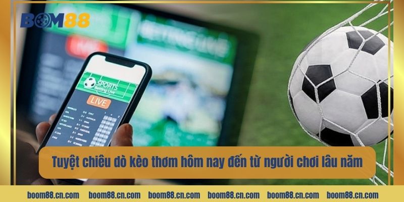 Tuyệt chiêu dò kèo thơm hôm nay đến từ người chơi lâu năm.